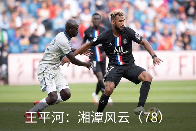 王平河：湘潭风云（7/8）